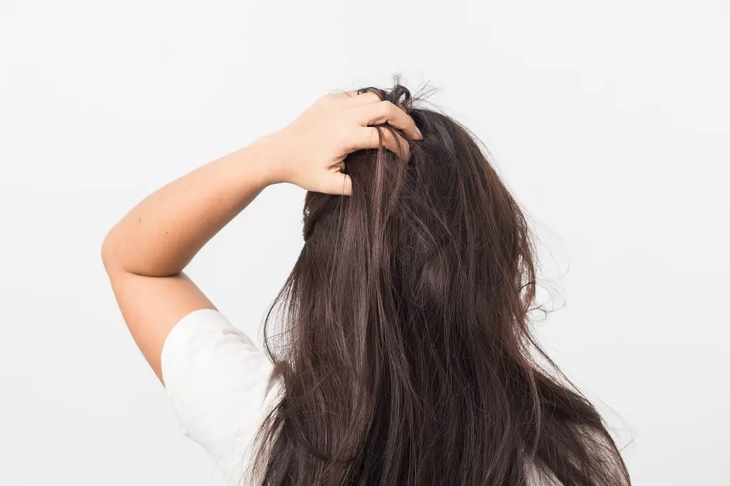 4 Reasons Why Your Head Still Itch After Lice Treatment LiceDoctors